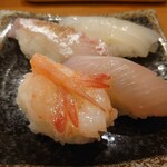 大将寿司 - 　赤いか、鯛、ふくらぎ、甘エビ