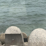 フィエスタ - 窓の下はすぐ海