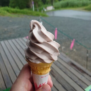 群馬でおすすめの美味しいソフトクリームをご紹介 食べログ