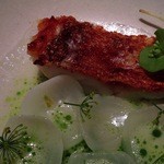 Fujiya 1935 - 甘ダイ　新玉葱 ディルの花