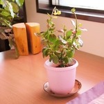 ウィンドー - 店内の紹介です⑧（6/12UP）