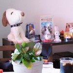 ウィンドー - 店内の紹介です⑩（6/12UP）