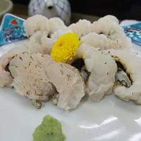 北新地 隼人 - 