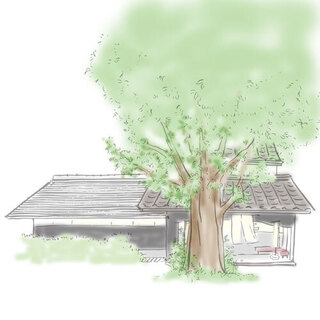 あべまき茶屋_1