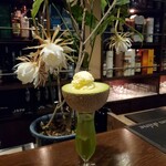 ムーンシャイン - 