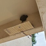 プレゼンテ スギ - 入口にはツバメが