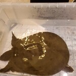 プレゼンテ スギ - スッポン