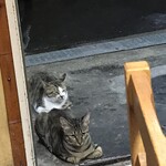 がばちょ - リースラインはきっちりと！ｗ