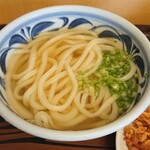 ふる里うどん  - かけ（小）アップ