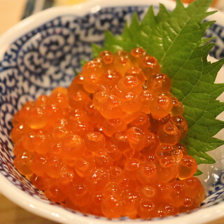 丸冨水産_2