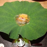 弧玖 - 