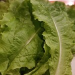 あさひ食堂 - サンチュ(小)(380円)の一部