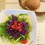 ヴィヴァーチェ - 