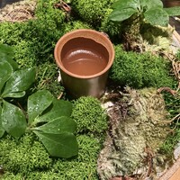 L'EAU - 