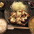 からあげ専門店 橘屋 - 