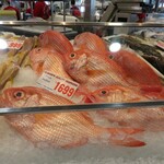 Sydney Fish Market - 