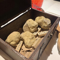 マルゴット エ バッチャーレ - 