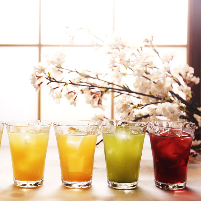 花ごころ 琴似店 Wa Bi Sai 花ごころ 琴似 札幌市営 居酒屋 食べログ 花ごころ 琴似店 Wa Bi Sai 花ごころ 琴似 札幌市営 居酒屋 食べログ