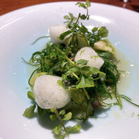 TACUBO - 
