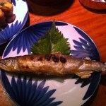 かじしか - 鮎♪