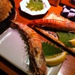 かじしか - 特大車海老♪