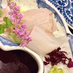 鳥田中 - 「時期のふた品目」は竹岡の鮃です　旬の東日本一の鮃が登場しました