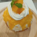 天然氷のかき氷 ひめじ官兵衛堂 - 