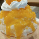 天然氷のかき氷 ひめじ官兵衛堂 - 