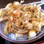 Tempura Tensaku - 海鮮かき揚げ天丼