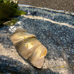 目黒 すし太一 - 