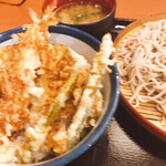 Tendon Tenya - 