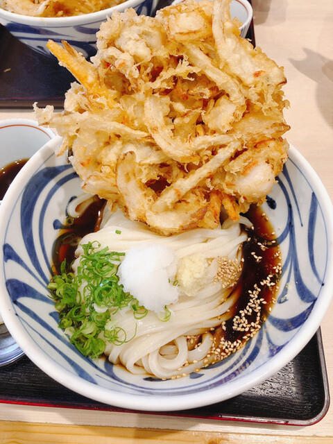 うどん屋 しろ 小湊 うどん 食べログ うどん屋 しろ 小湊 うどん 食べログ