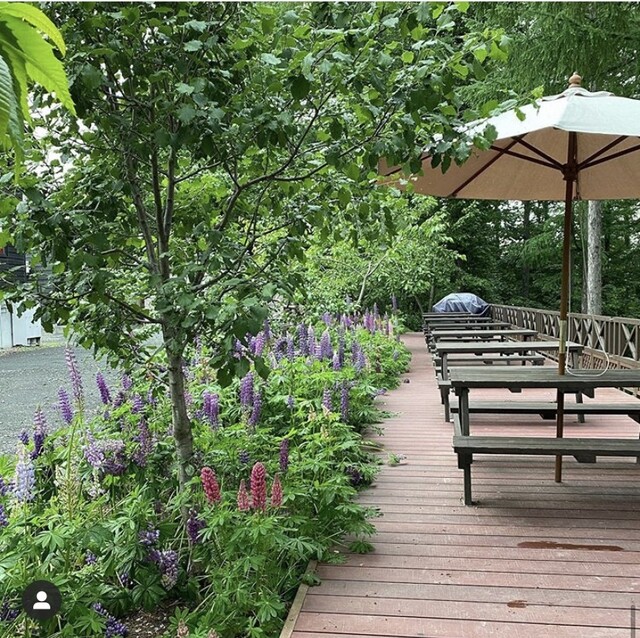 リッツ ガーデン 虹（Ritz Garden Niji） - 美馬牛（カフェ）の写真