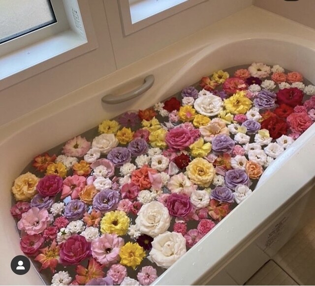 リッツ ガーデン 虹（Ritz Garden Niji） - 美馬牛（カフェ）の写真