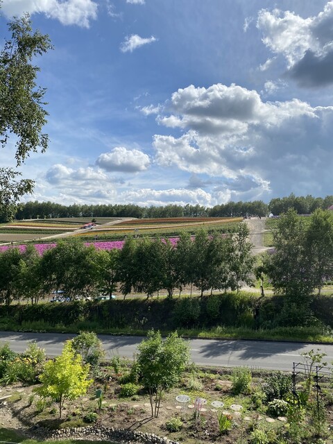 リッツ ガーデン 虹（Ritz Garden Niji） - 美馬牛（カフェ）の写真