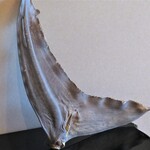 仁修樓 - アオザメの超高級ふかひれ