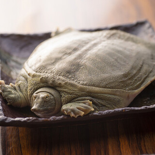 すっぽん 馬刺し かみつき屋チャンピオン 福島 すっぽん 食べログ