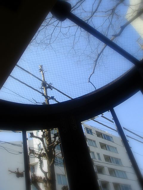 PapasCAFE Hiro Ten photo 5