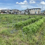 ヴィラ・アイーダ - 