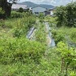 ヴィラ・アイーダ - 