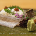 日本ばし さく間 - お刺身皿 鱚（きす）が初夏！