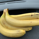 佐藤バナナ問屋本店 - 