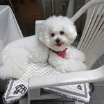 エビスエスクラッシコ - Always Welcome!! 