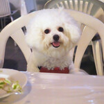 エビスエスクラッシコ - いつも有難うございます！！