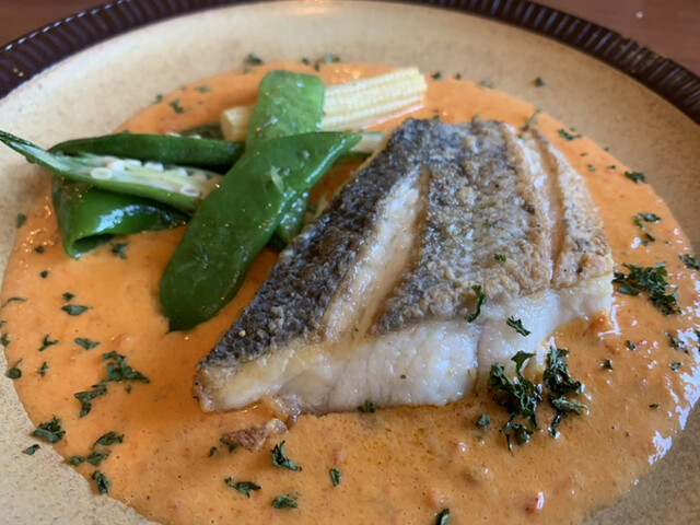 ピアット チェルキオ 西条 イタリアン 食べログ