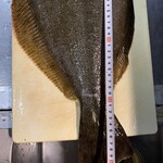 味処　八右衛門 - お客様の釣り上げた60センチオーバーのヒラメ！！