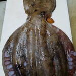 Izakaya Hinoki - 鳴門渦潮蛸の皮引き造り(前）