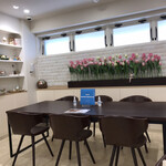 リルミルフィー - 