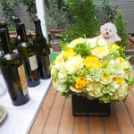 エビスエスクラッシコ - It's your B-day!!