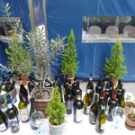 エビスエスクラッシコ - 準備万端！！